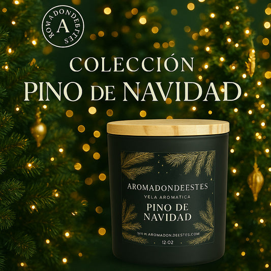 Pino Navidad